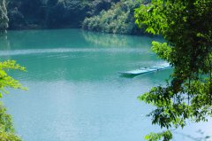 历史遗留问题久拖不决,全国首家民营国家森林公园面临“灭顶之灾”